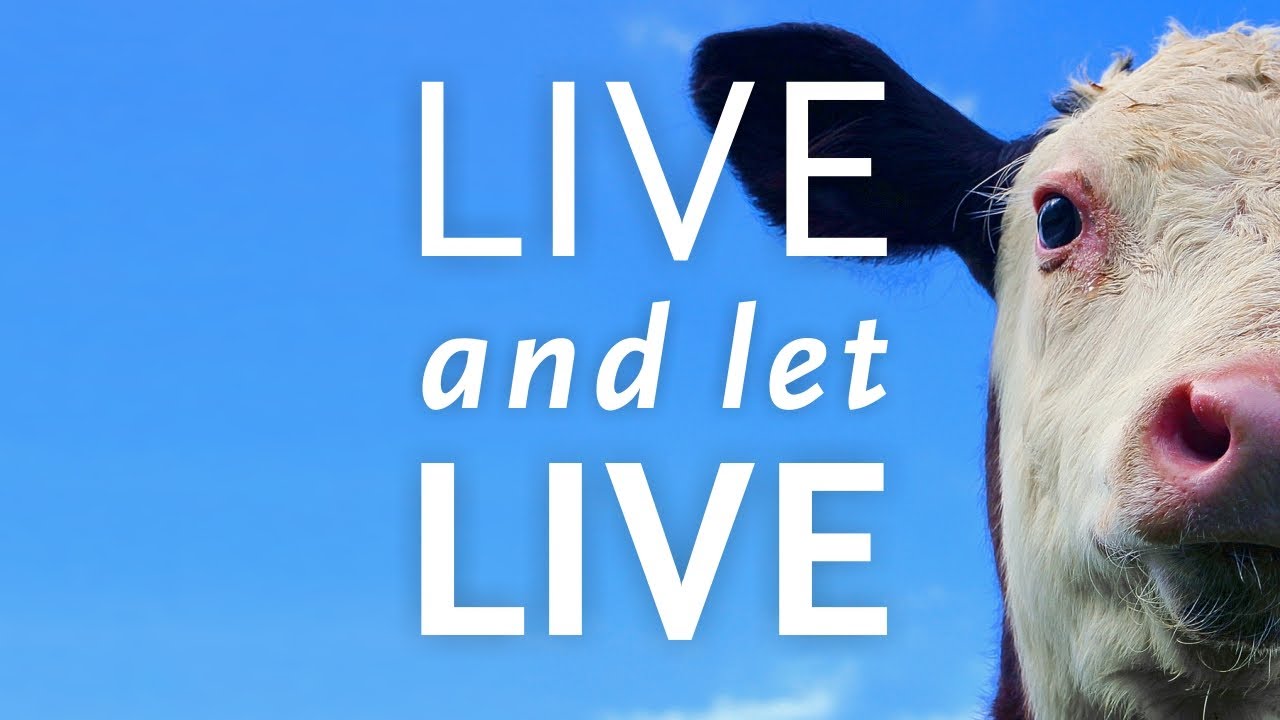 Eec780ba5c9859ac5a517b39e2d21bea liveandletlive
