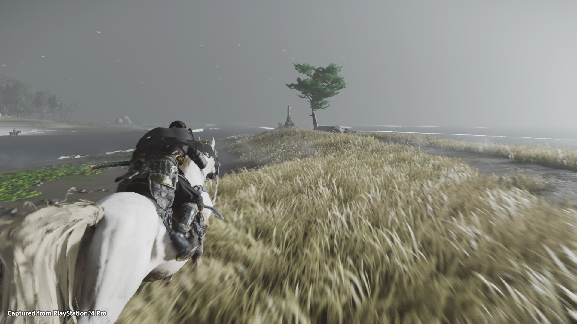 F14c398b26d4124dc22cfe8db6fb59ea 08 horseback 2001