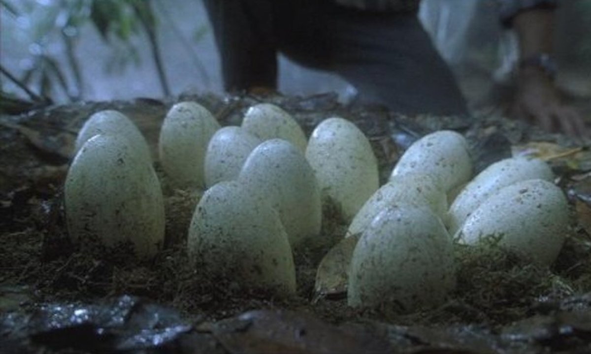 Large 255c64f57e8a1a7547a66c1e18b51791 egg