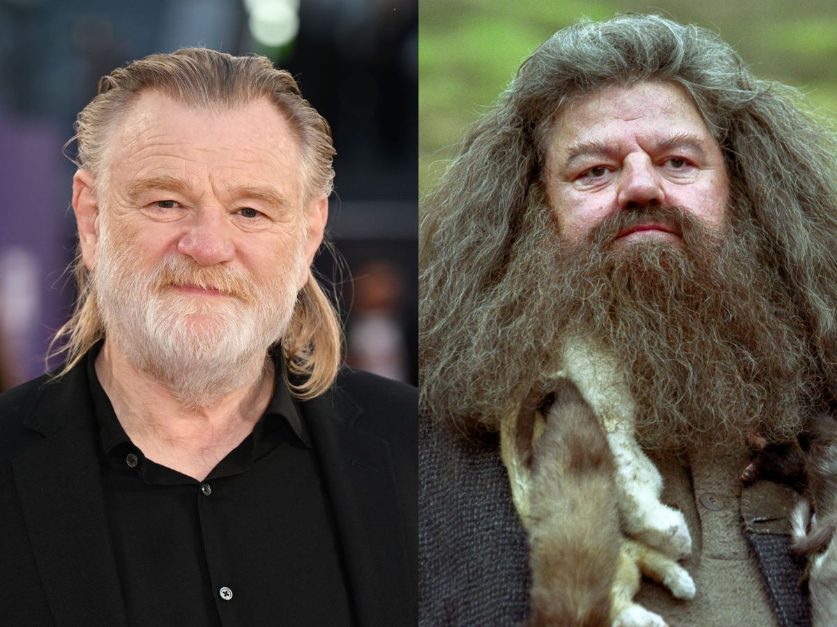 Large 30e2b3f54e3b6674fb520933a4ed2025 hagrid