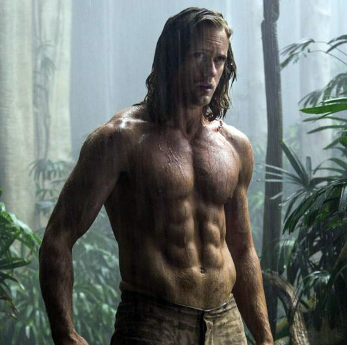 Large 32e2eb2cf13e02c88af5febbac6536f8 tarzan