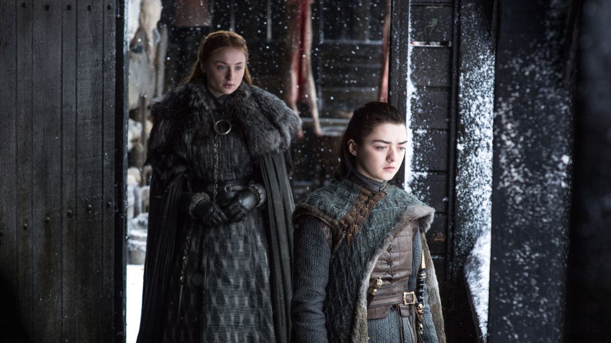 Large 554bcdbbb2bbbc2325e9ac521c430bd4 sansa 20and 20arya