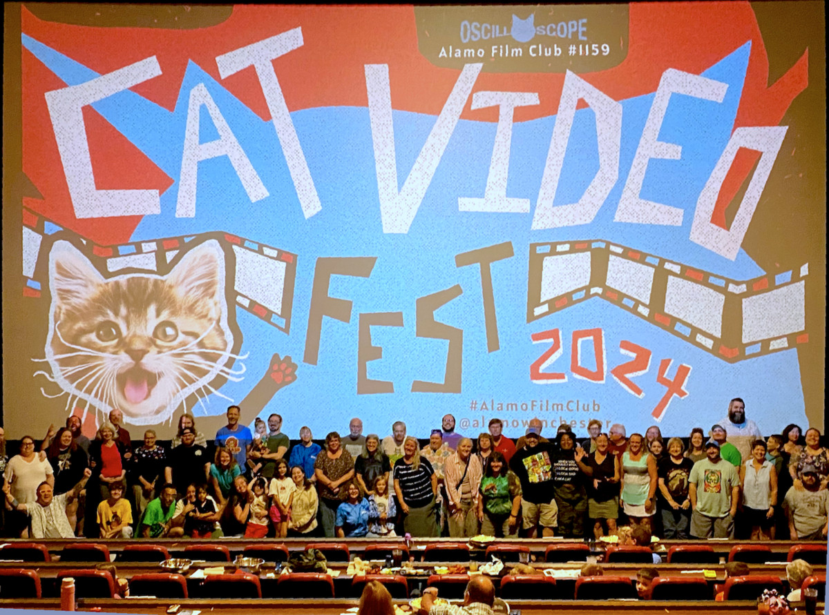 Large 5d675c644d3fc8b9fa9882c11aac8982 catvideofest 2024