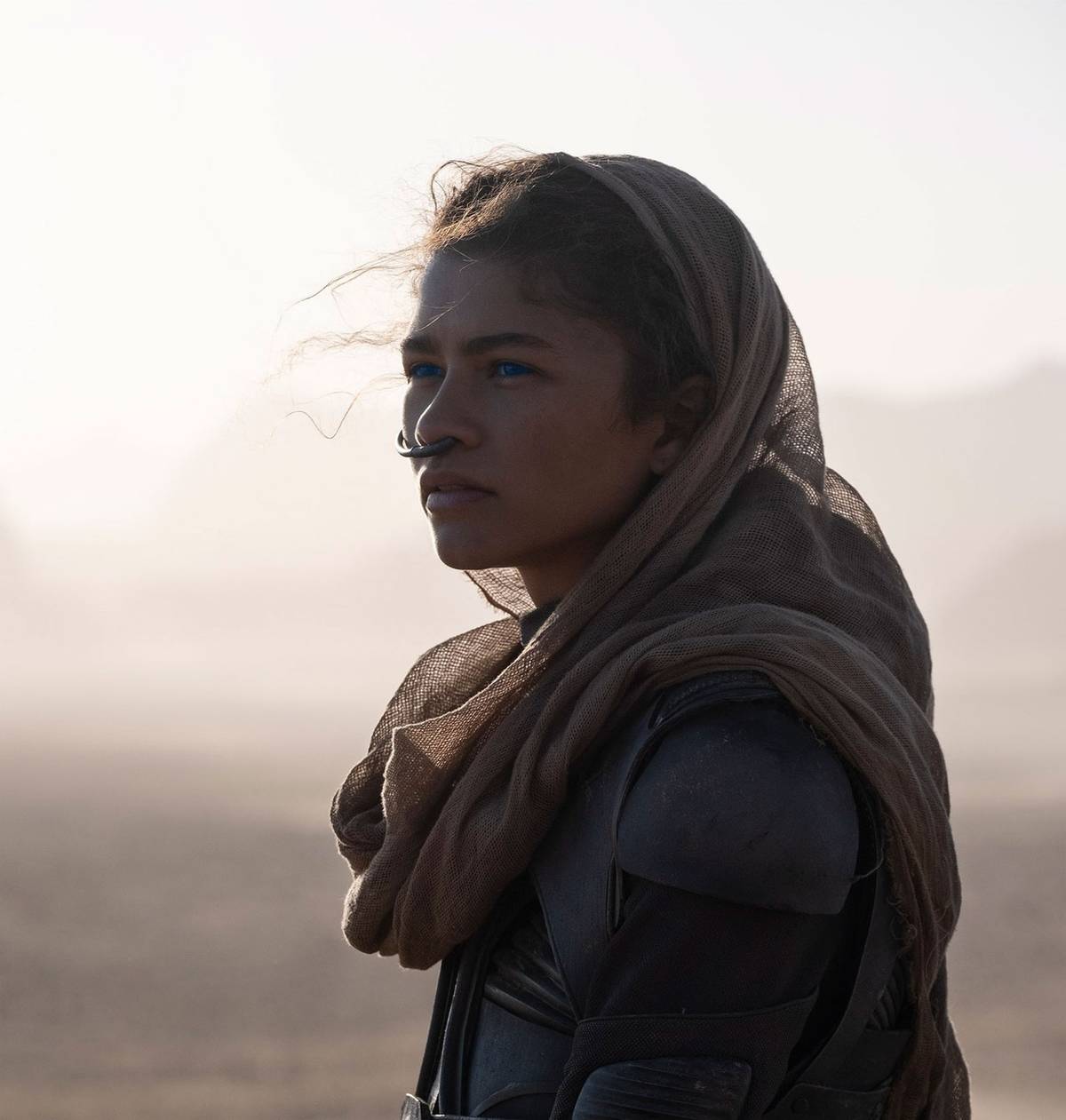 Large 7e21d8f27825d8d511f9f03bf8399732 dune zendaya 2020