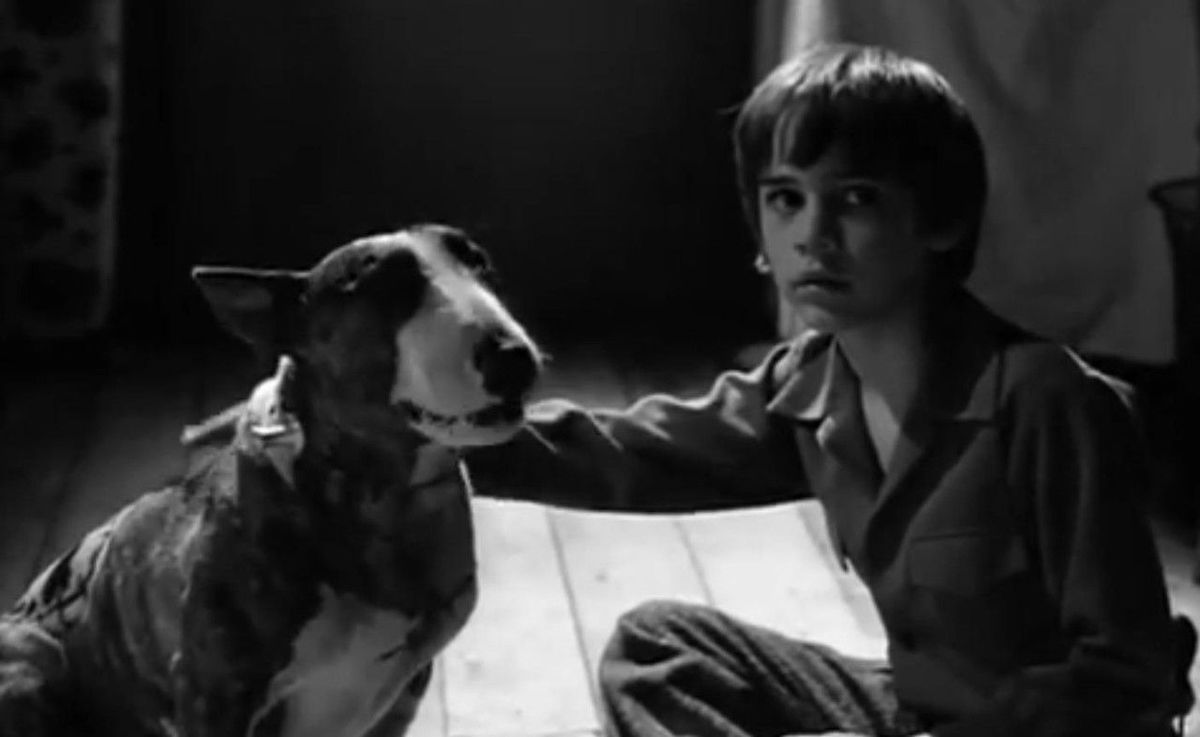 Large 8121abc782d4d24a76b82905d67e657a frankenweenie