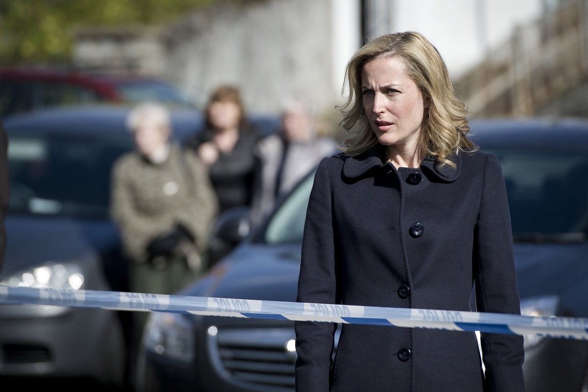 Large the fall mz netflix 2014