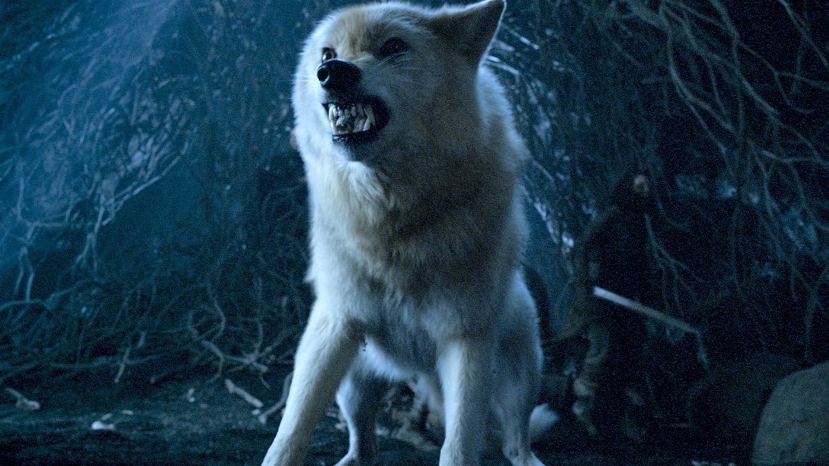 Large bf2f216e4b354ab54f8f4330ed1e7e83 wolf