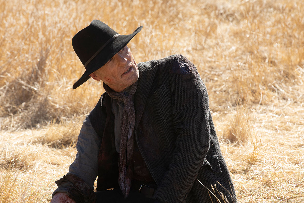 Large df60f4f214ed3c8009a47ef934312efc westworld210 3