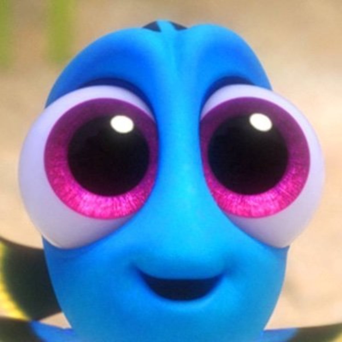 Large edd566f55ea9149fccae9d41b104b1d0 dory