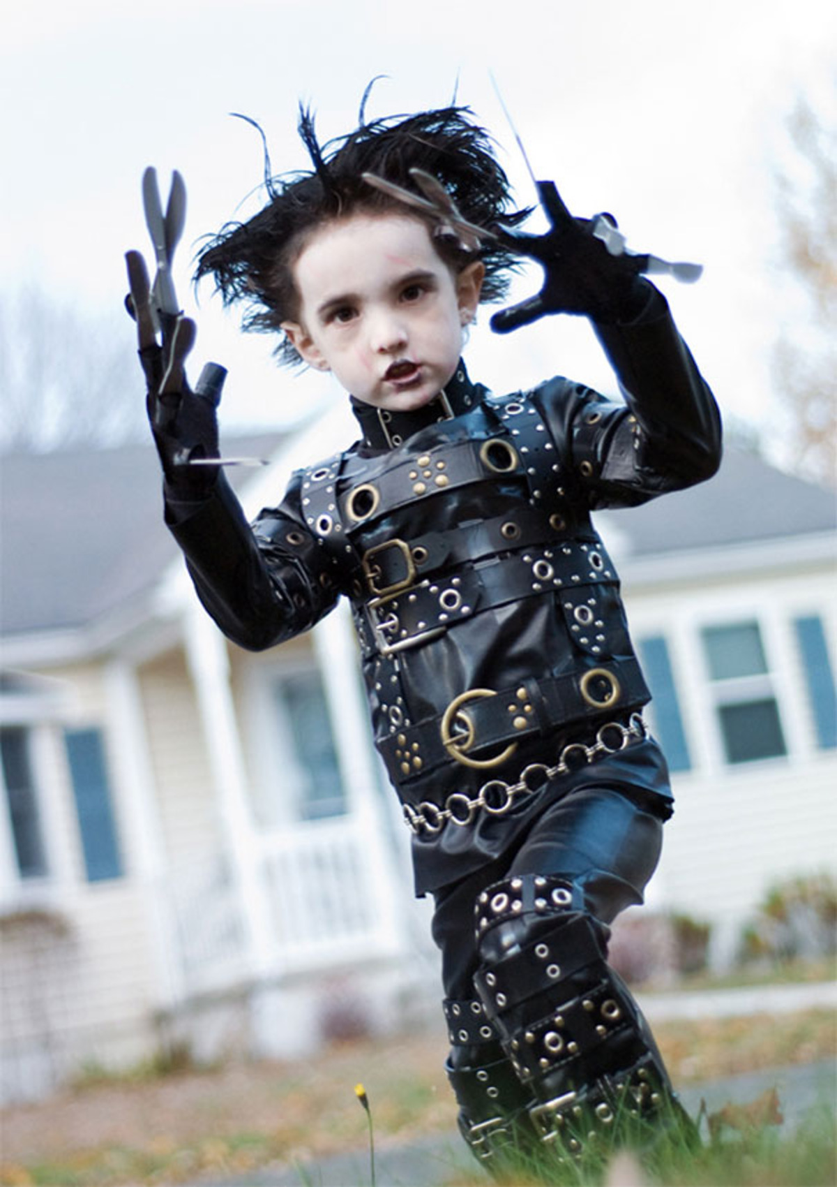 Large scissorhands