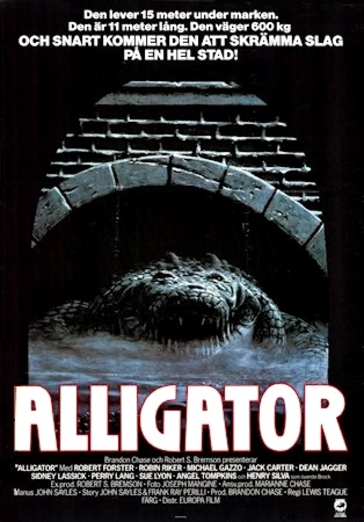 large_01572e5b2fa3723eb72f5edeec410f22-alligator_80.jpg