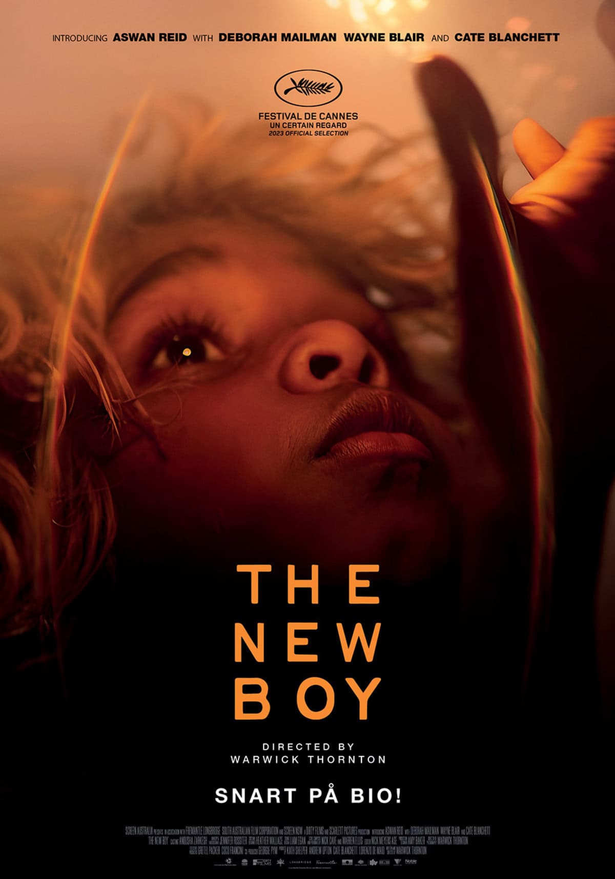 large_02aa1ee67926d89906ae6b95fbac0b2c-new_boy_the_onesheet_oic.jpg