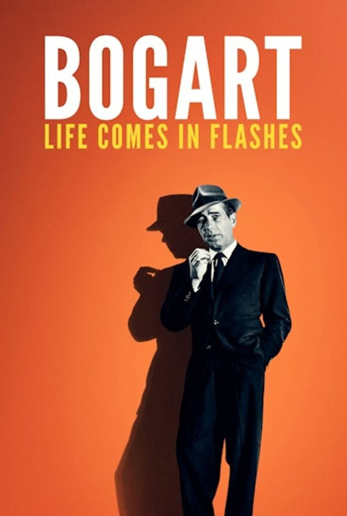 large_0400ce4d4379732d1898b8843d0f5f22-bogart_20fix.jpg
