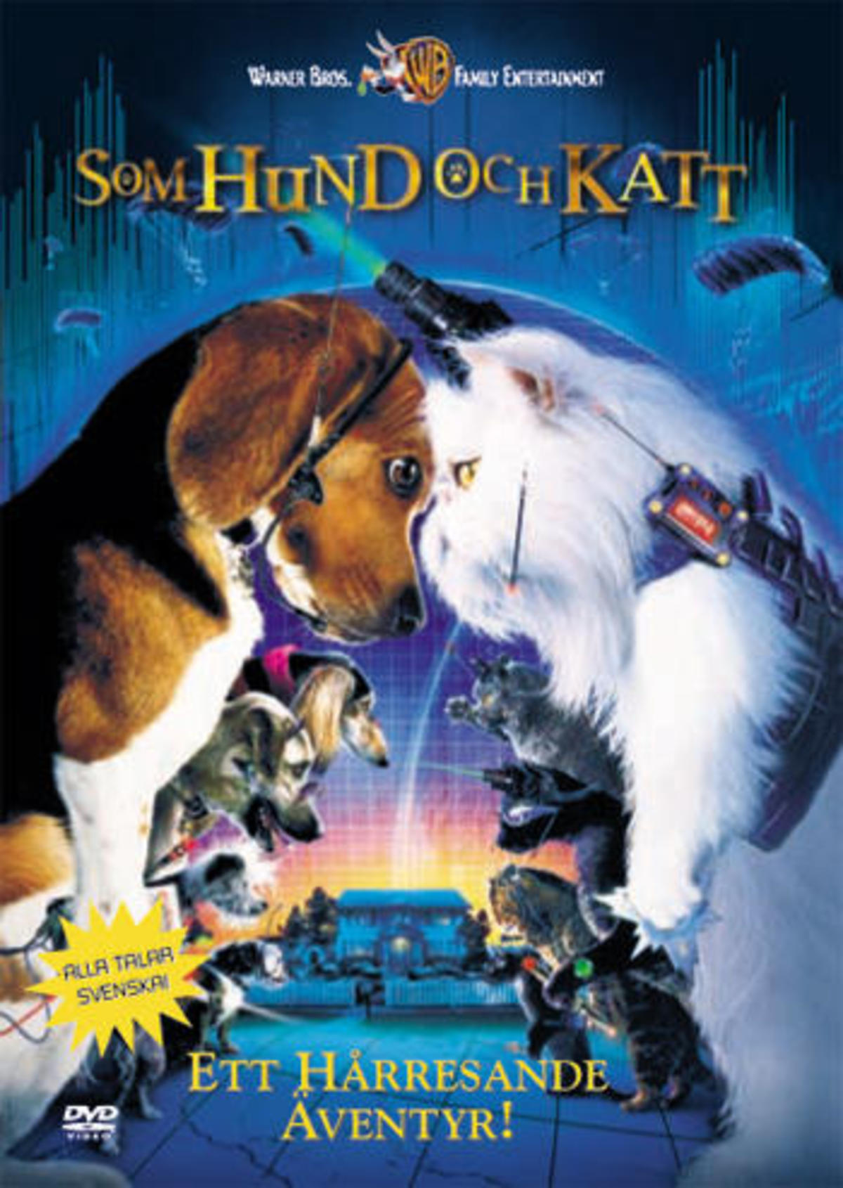 large_046b08ec55dd4da672947a2008a95281-som_hund_och_katt.jpg