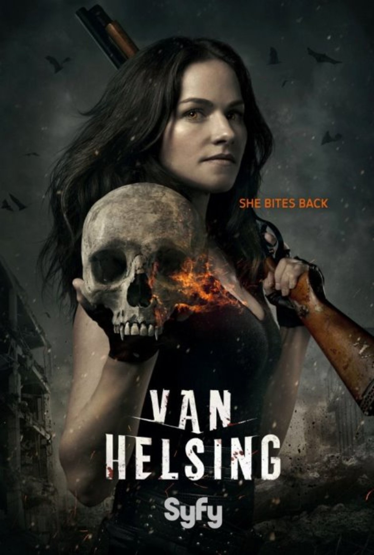 large_047fb7e6336bf56d3b9d4bac18190d52-Van_20Helsing_tvseries.jpg