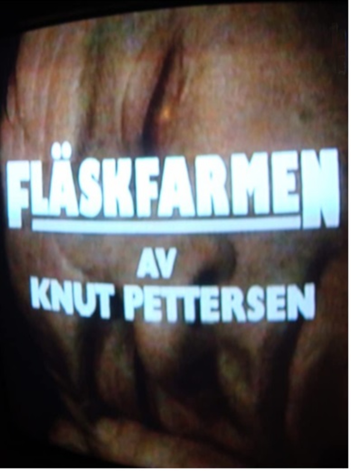 large_049143740c80046f4dd9f651688c1ce3-Fl_C3_A4skfarmen.jpg