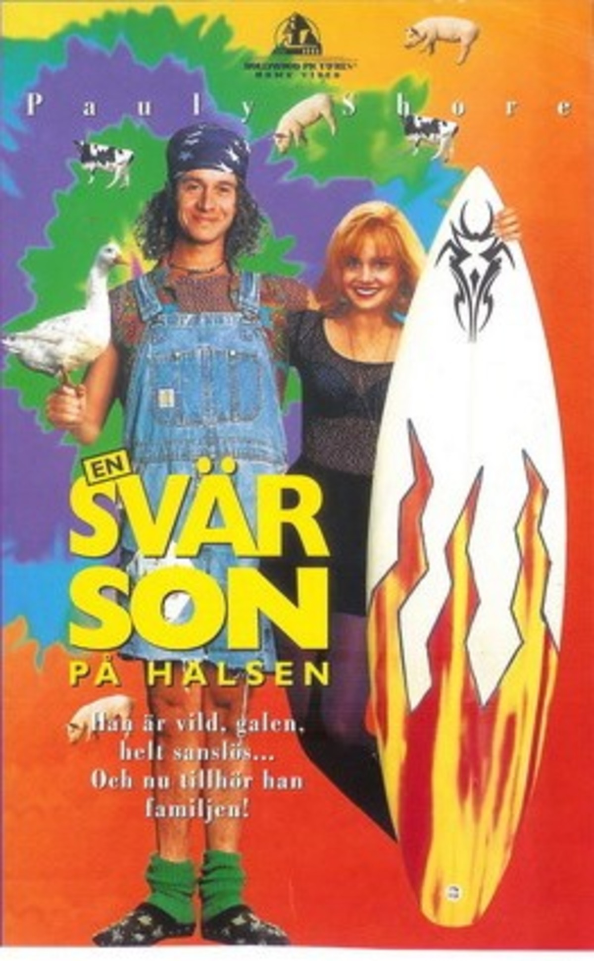 large_06c51adc23bdc820ffa18bc62eabb21f-En_20sv_C3_A4rson_20p_C3_A5_20halsen.jpg