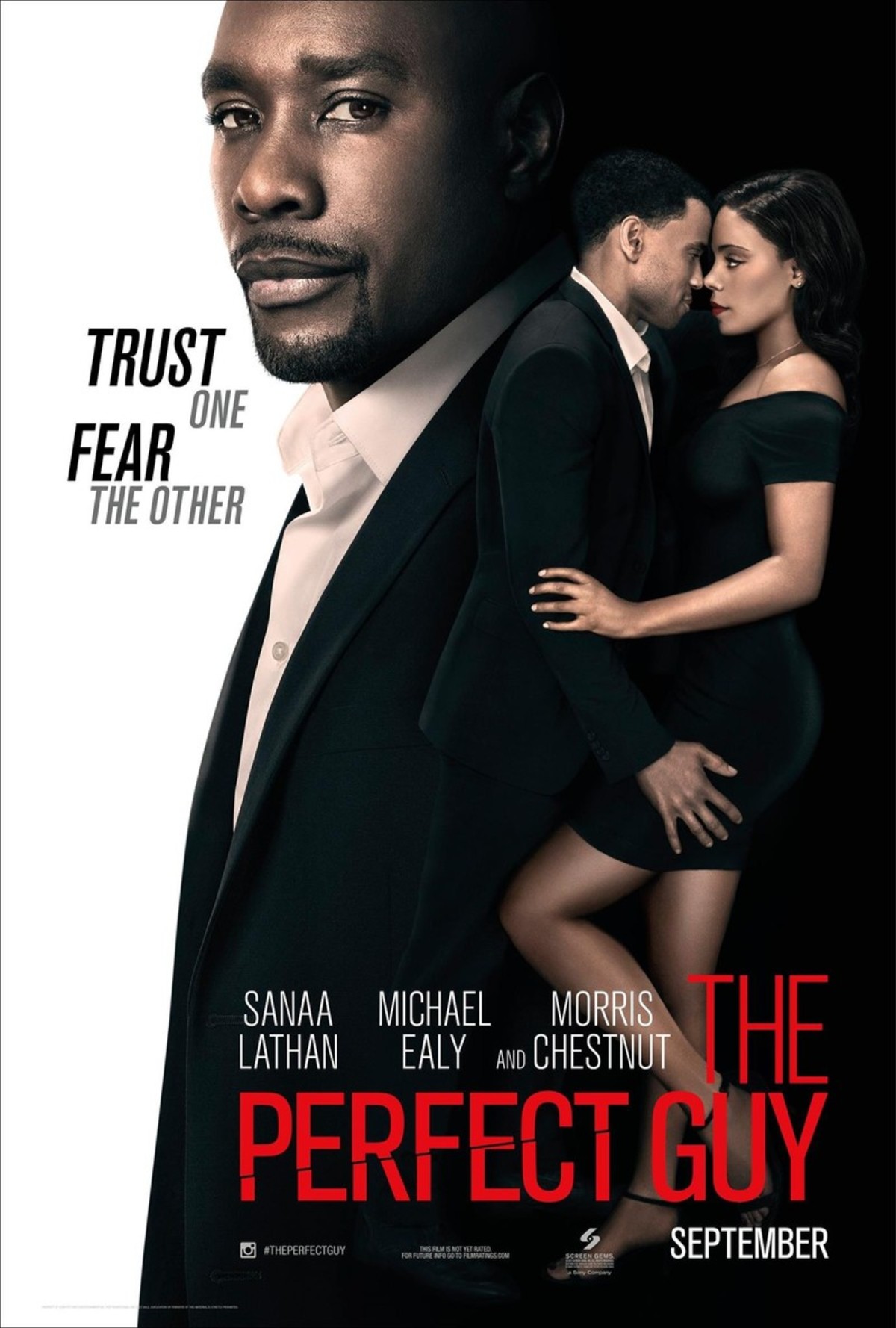 large_06e129793ed56be663fb2b5244ed7aa3-The-Perfect-Guy-2015-movie-poster.jpg