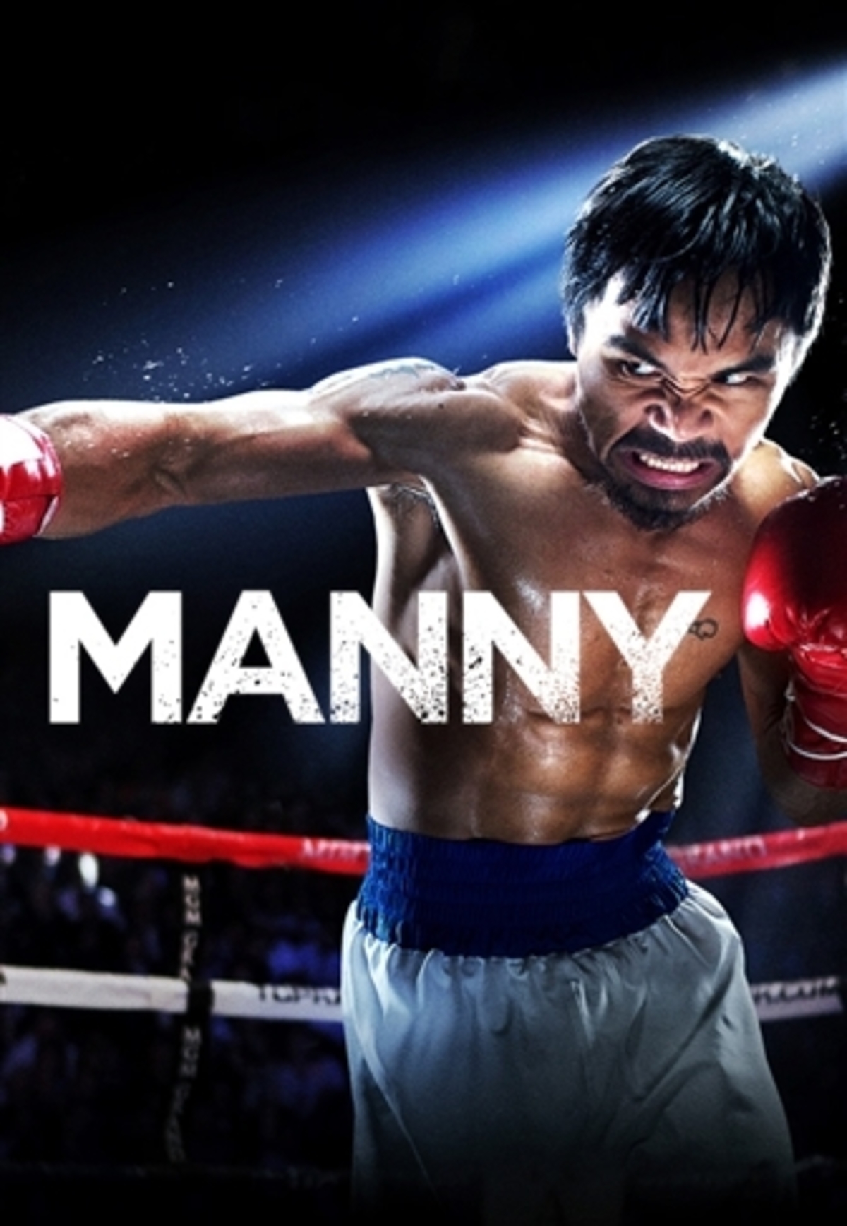 large_07c932836c9a82e14b4c22fecc9d5905-manny_hd_video_on_demand.jpg