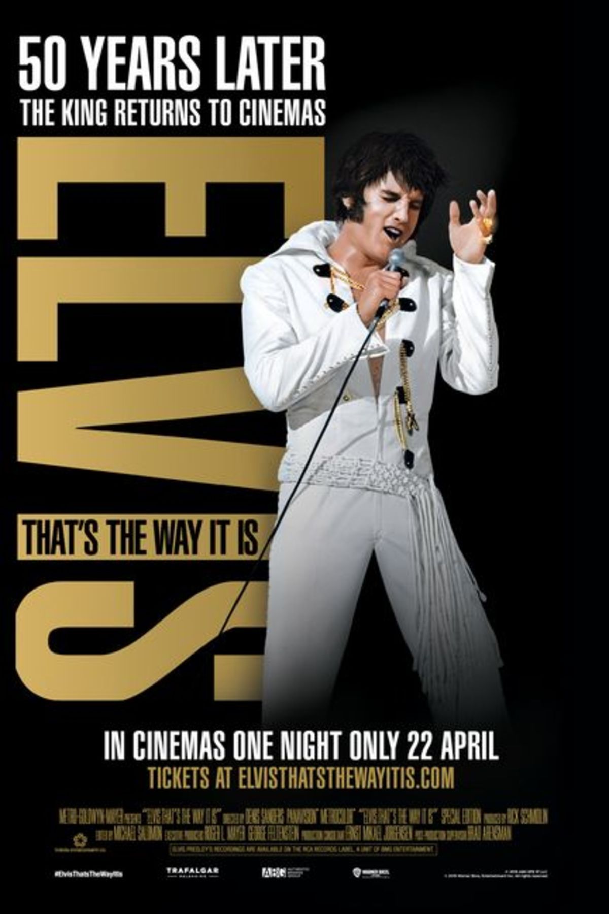 large_0928d22677a7582d61c54e7483e6a011-elvis.jpeg