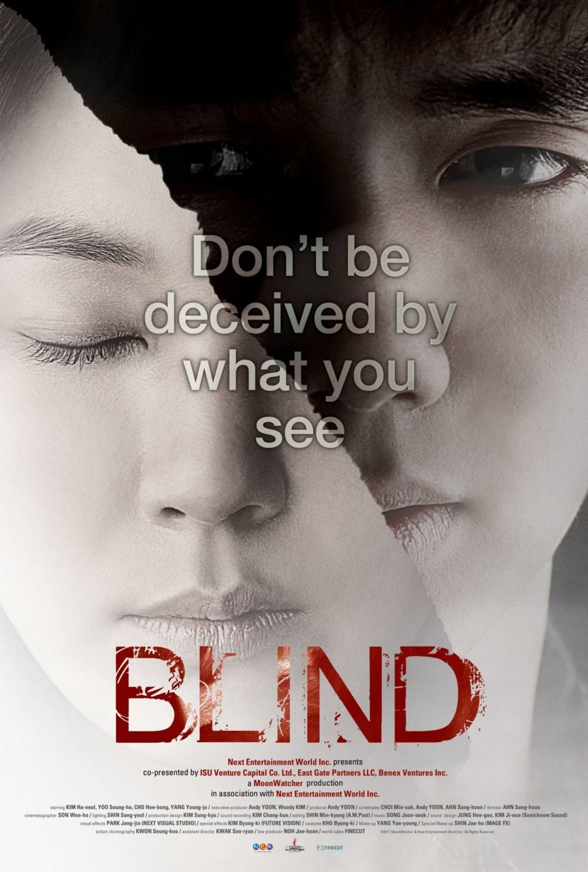 large_0b4fdbd6852181167ea15bcba0d9b095-blind.jpg