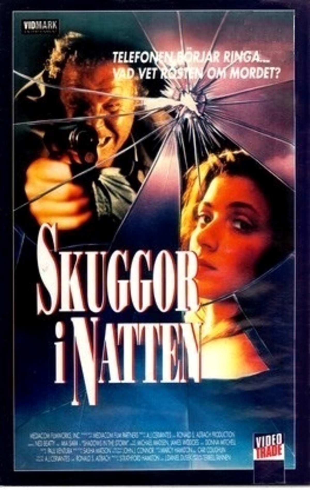 large_0b99dded4e253cf867c7b488b9ea418b-Skuggor_20i_20natten.jpg