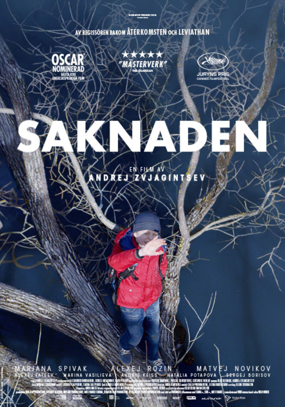 large_0c5a0f0e5f31a3451cf9769b8da2555a-saknaden.jpg