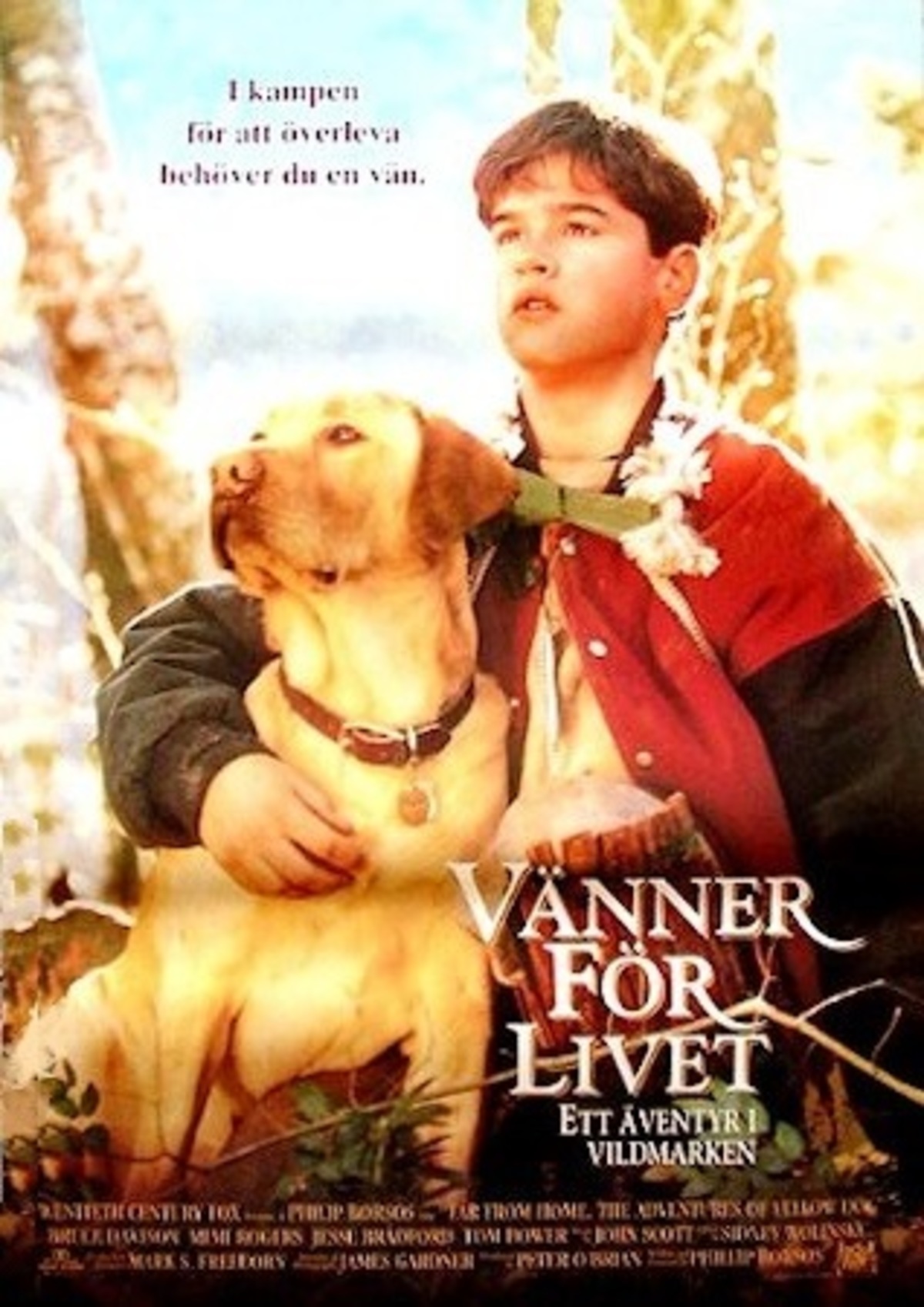 large_0f87f48e67ba78975d812a42f2e983f7-vanner_for_livet_95.jpg
