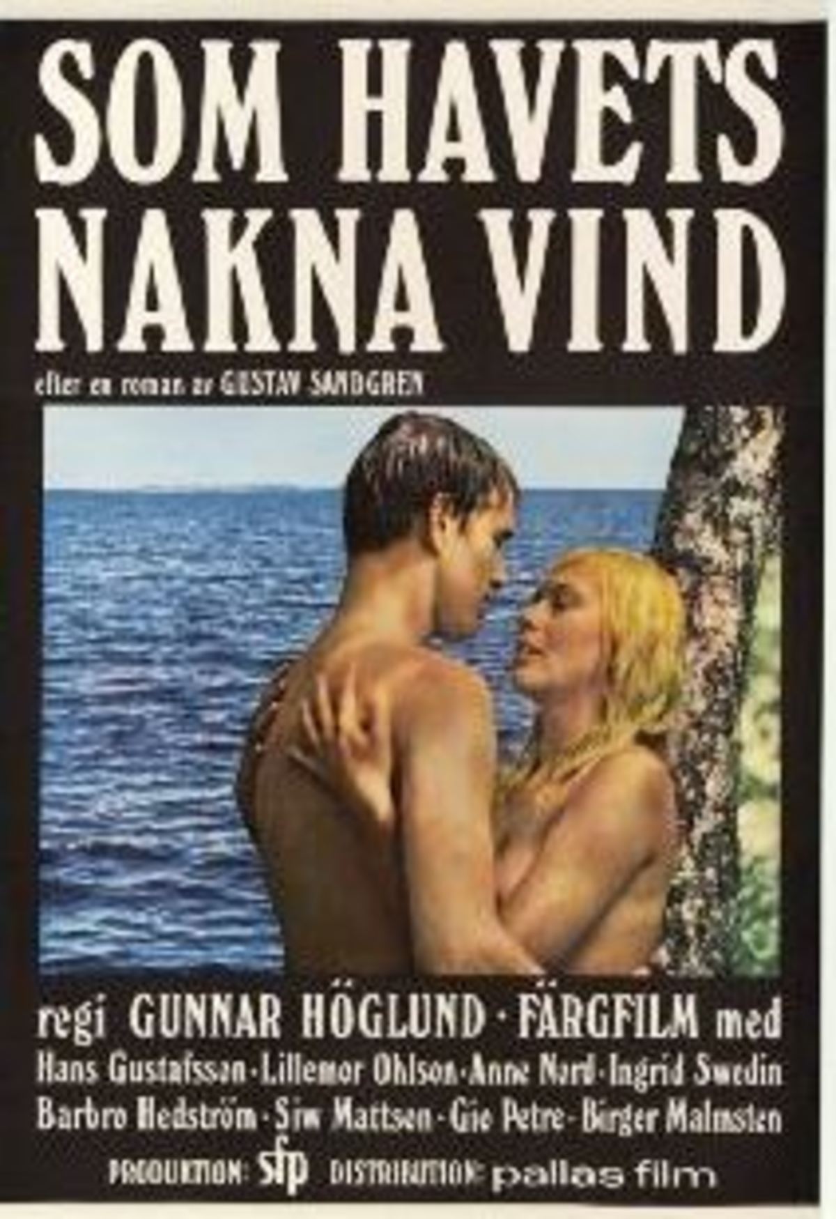 large_10deece778fff5daf1f7b58c78ede4af-som_20havets_20nakna_20vind.jpg