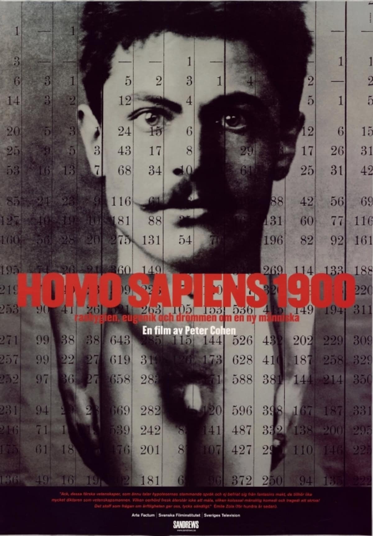 large_16304d989be364968c33c96285ec1a6d-Homo_20Sapiens_201900.jpg