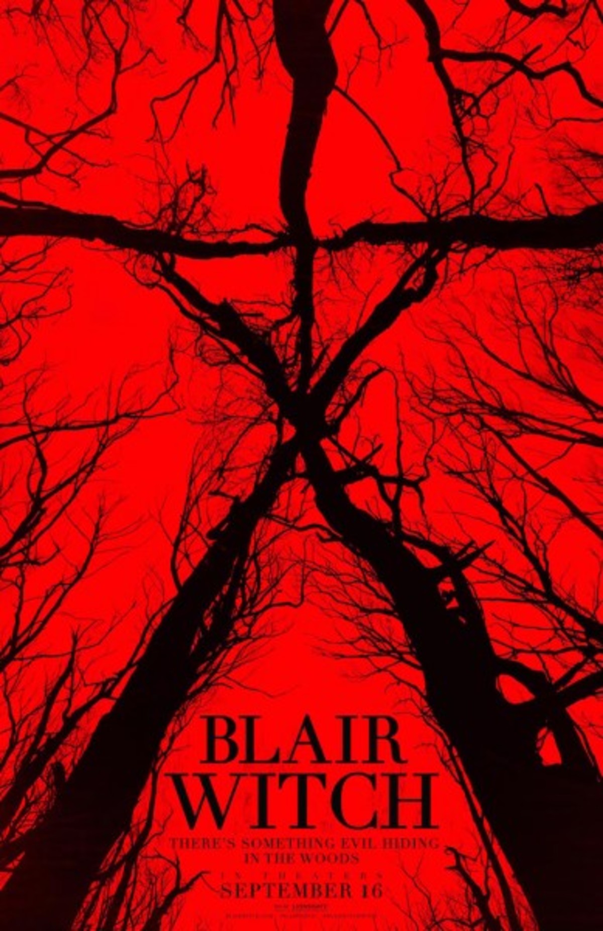 large_165ebf73c6486c3555d1915443b5fbcd-blair-witch-the-woods-poster-389x600-1.jpg