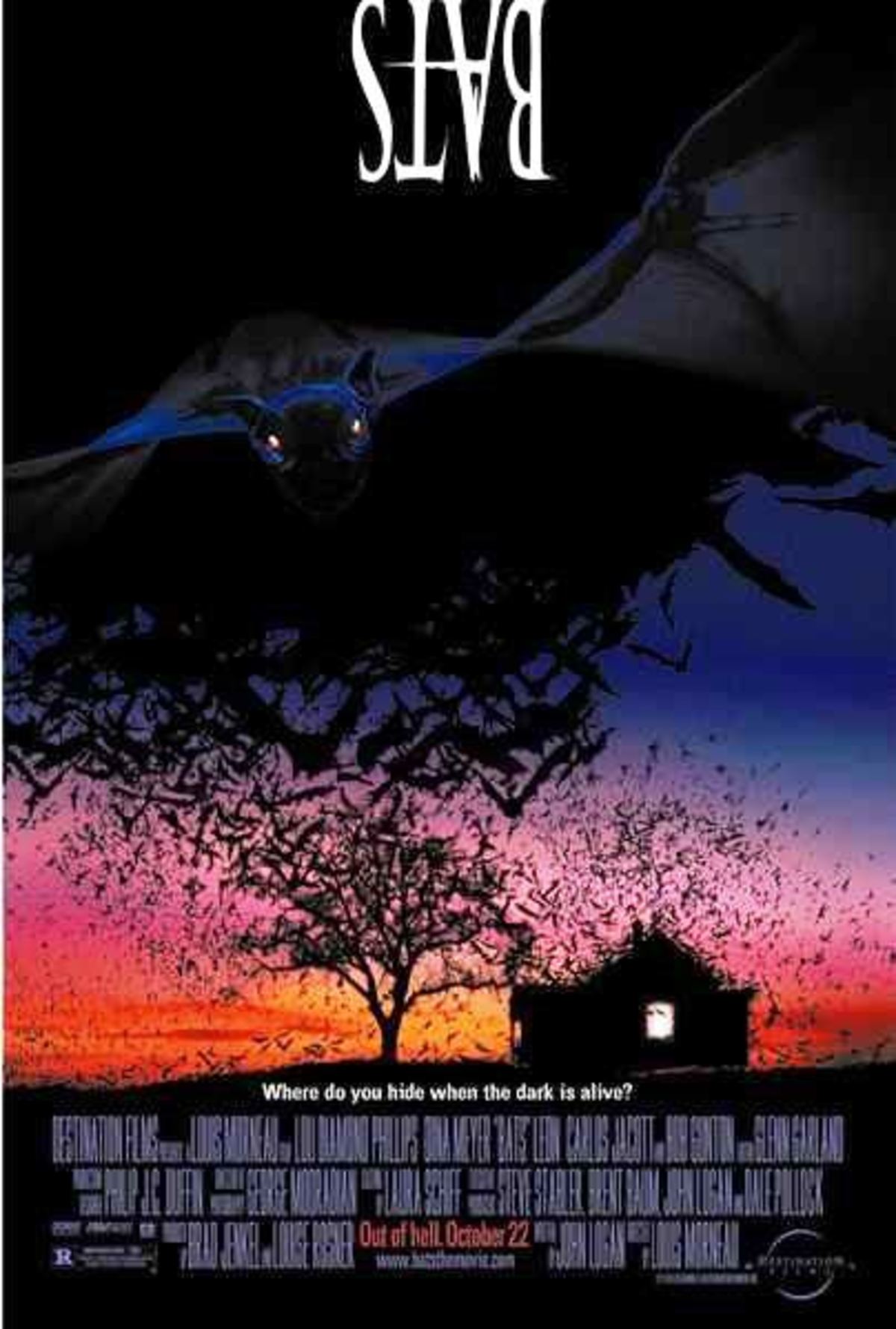 large_16b002af427f066e77450f3d0b2d0ffb-bats.jpg
