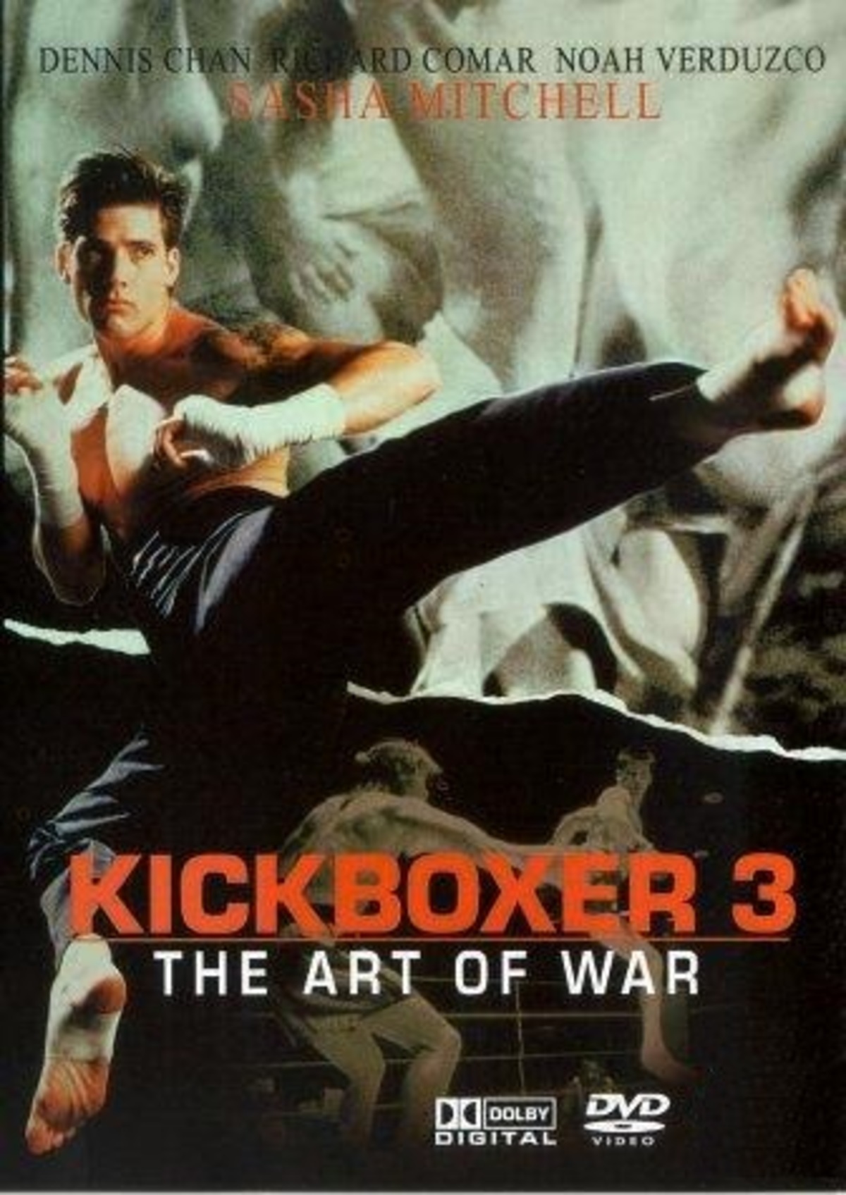 large_1bc422ba4b40324c5b7febff50a33bb5-Kickboxer_203.jpg