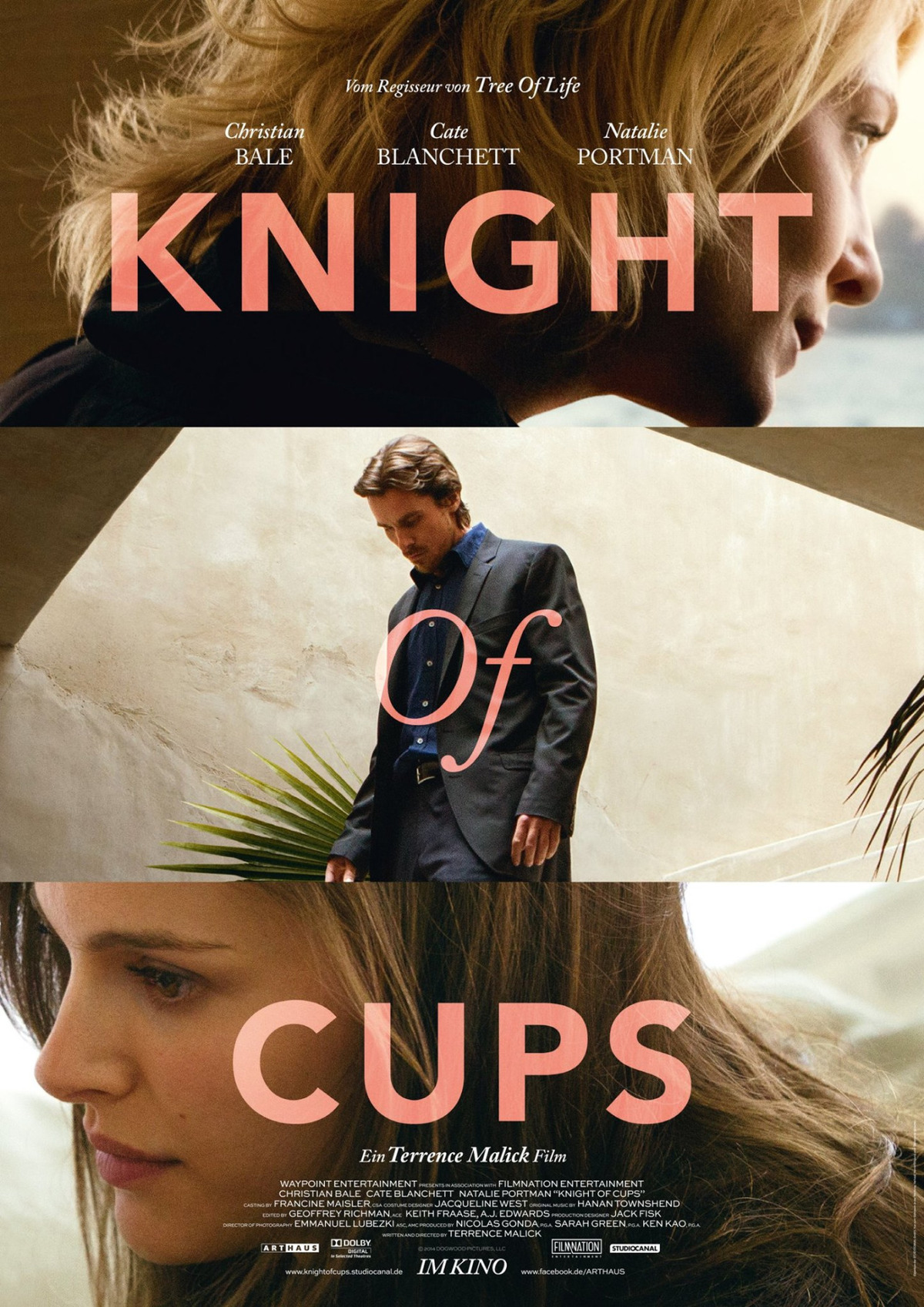 large_1bd6d2a72f868b3f5895f0568e874a80-knight-of-cups-poster.jpg