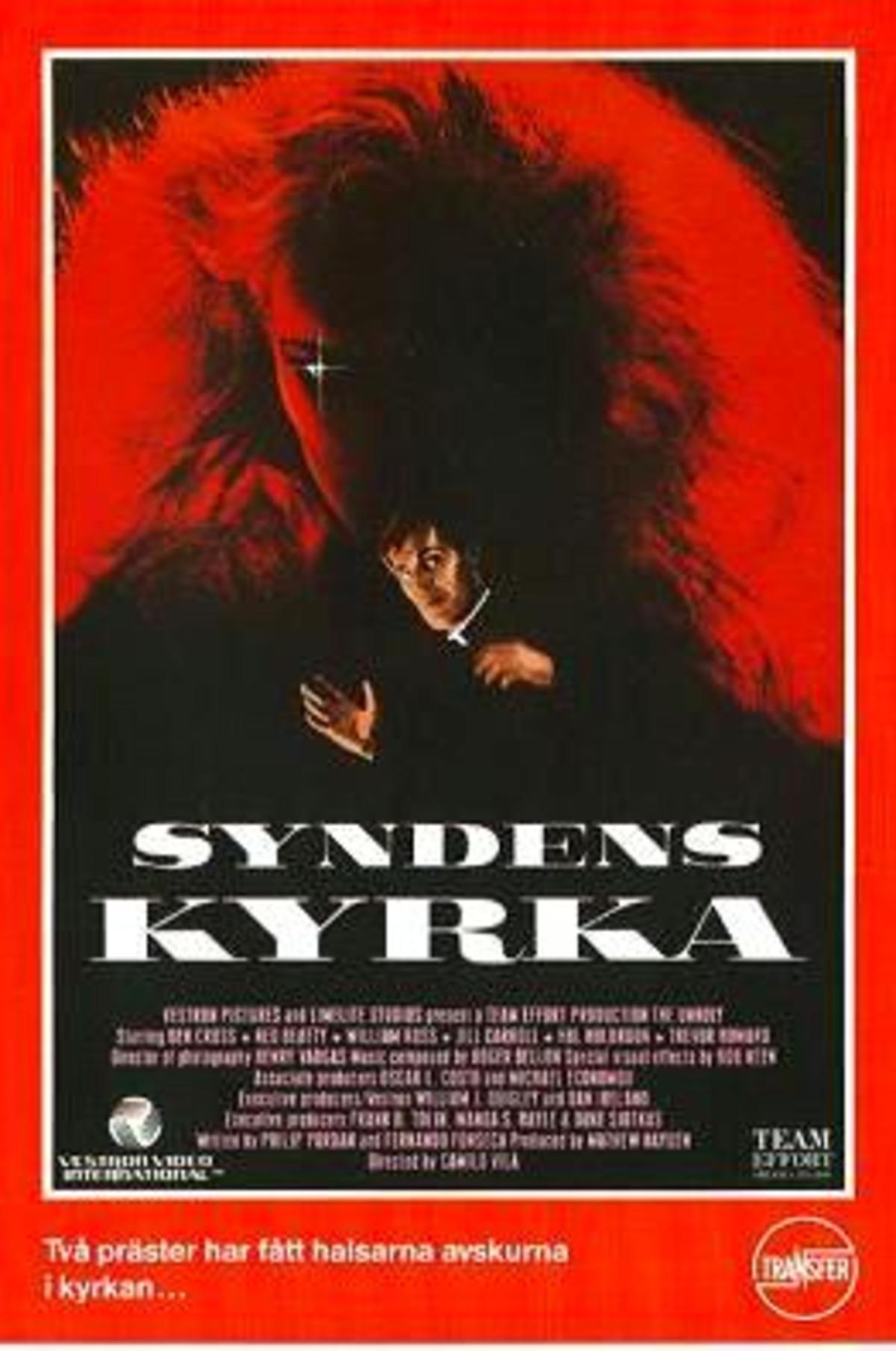 large_1c887e4d34f480b12ab88050908f24b3-syndens_20kyrka.jpg