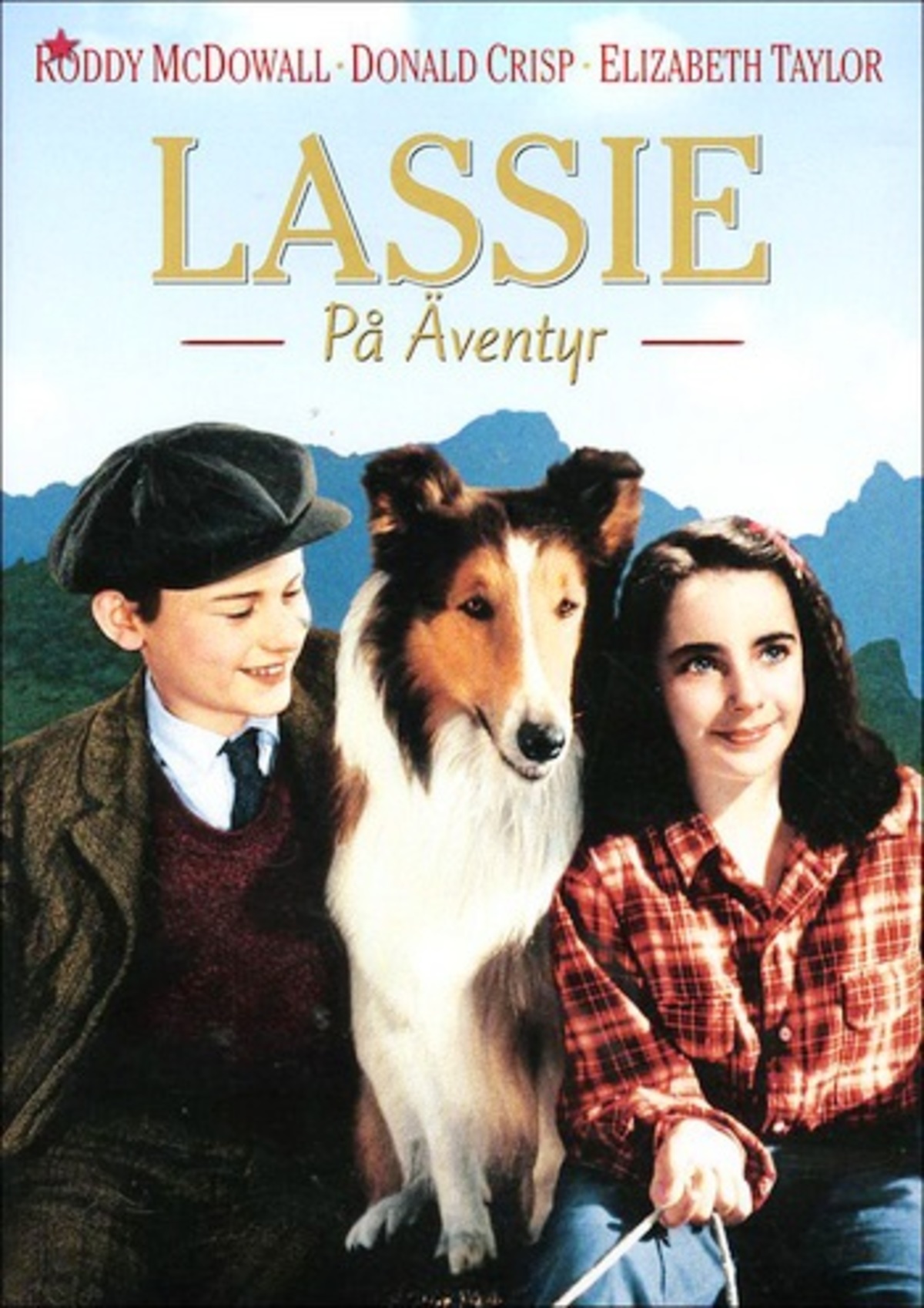 large_1cb169835d4166cafb8be60bac07d28c-lassie_come_home.jpg