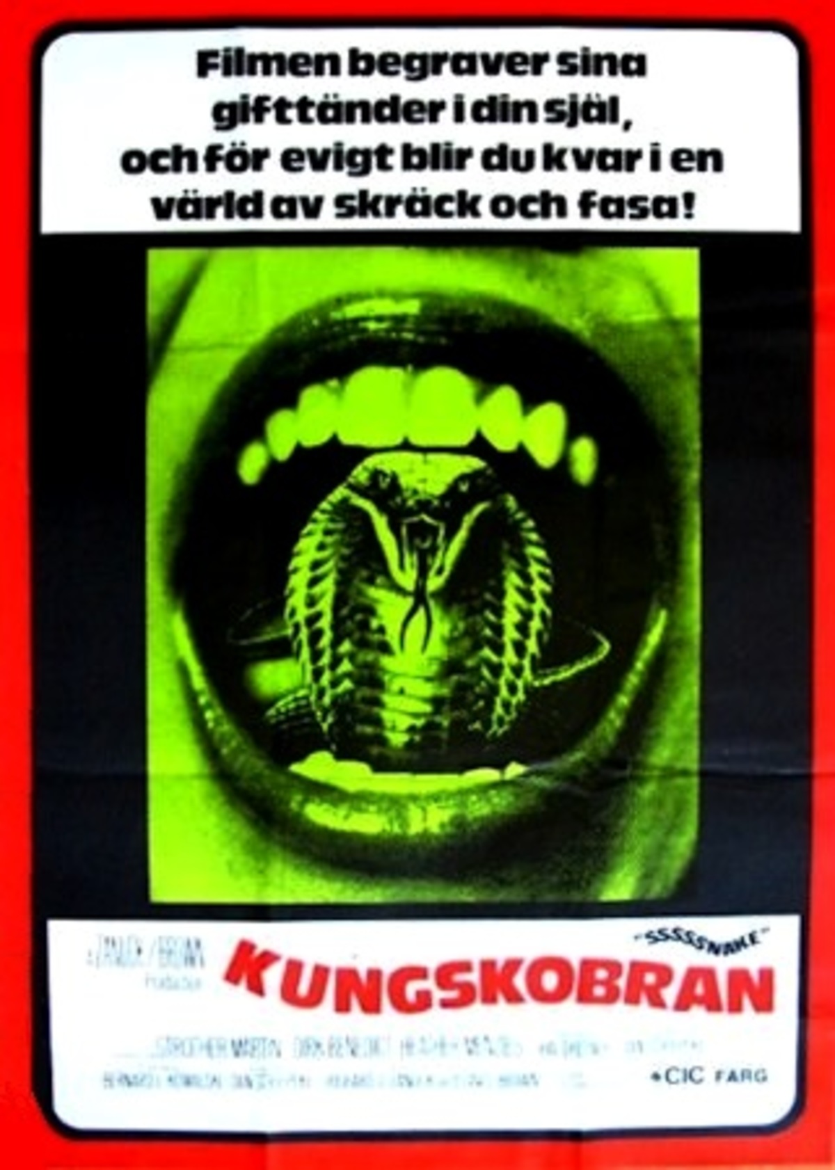 large_20c0fc1ed12e80451fb36d78cbd92180-kungskobran_73.jpg