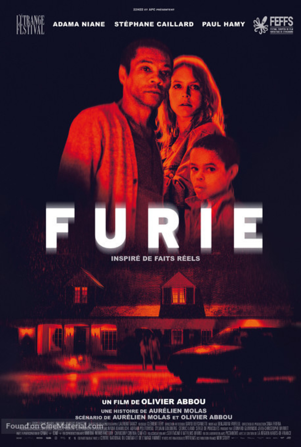 large_220f3a7aac2b6174007a4a9923dbb550-furie-french-movie-poster.jpg