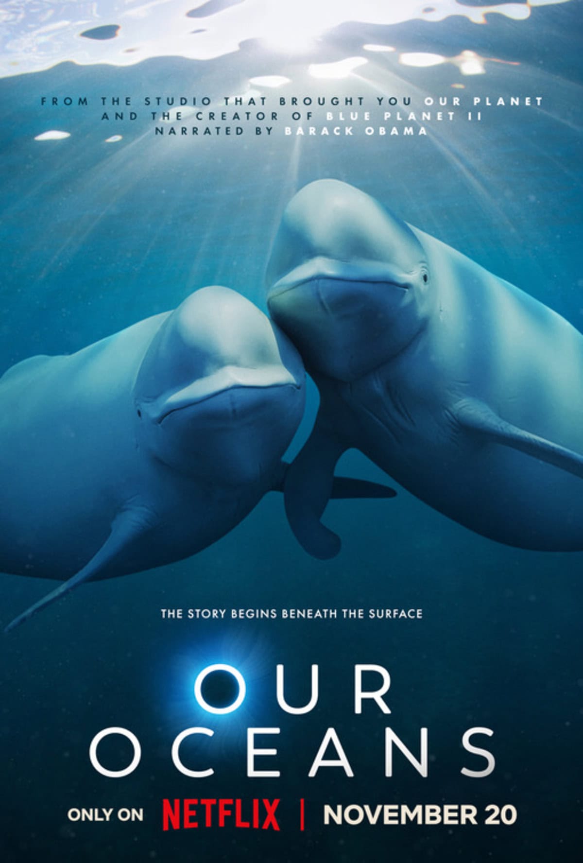 large_23f76597420deded9796a63cd7eae9e9-our_oceans.jpg