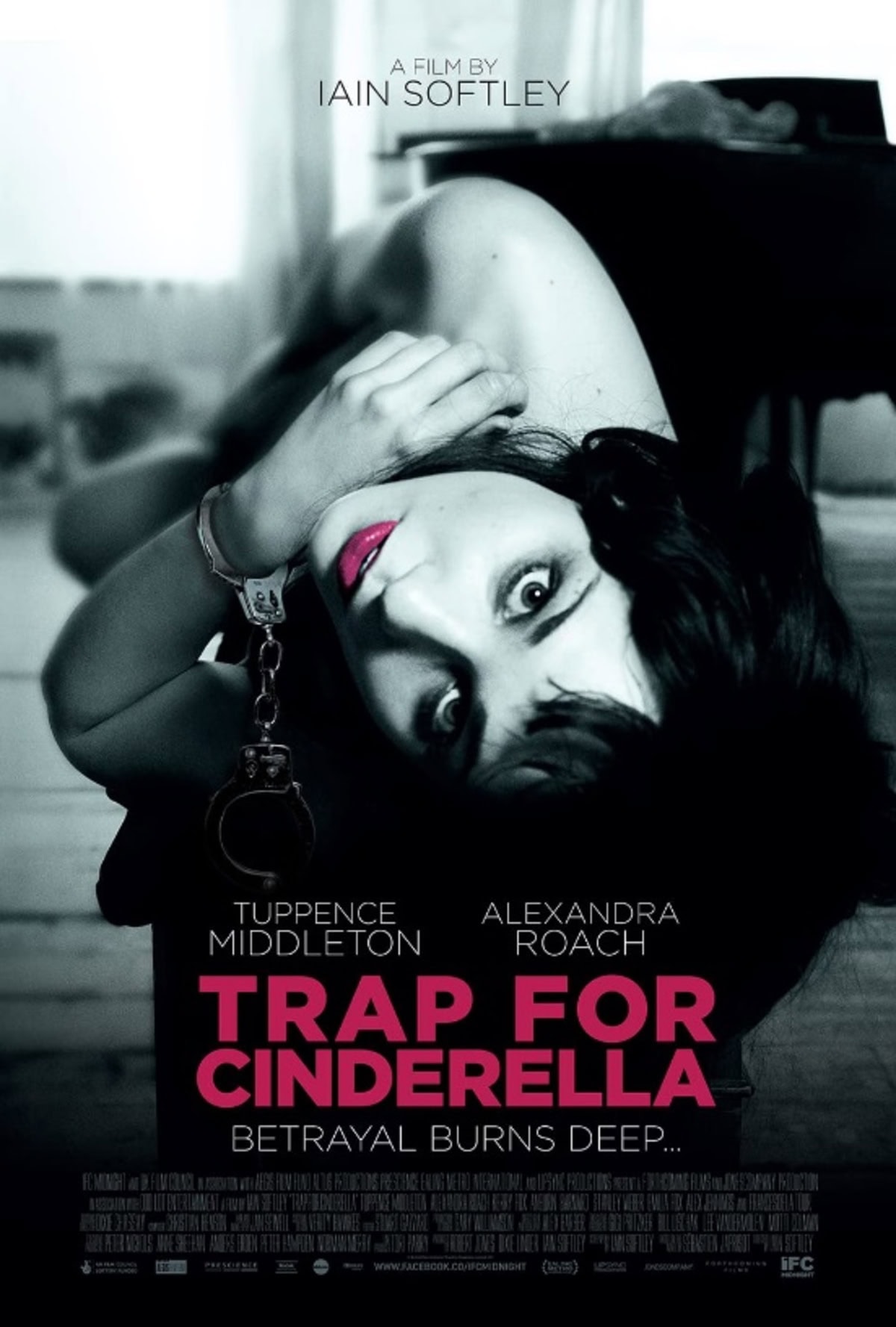 large_253c28b3c2684b80eb30a0167509374d-Trap_20for_20Cinderella_20_2013.jpg