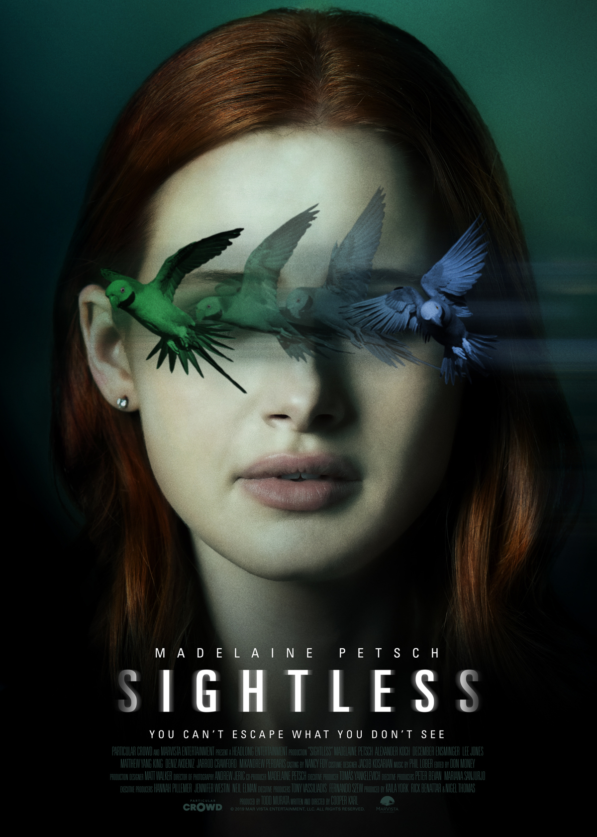large_261773c995e87dfc7d2fb0670ee2c749-sightless-poster.jpg