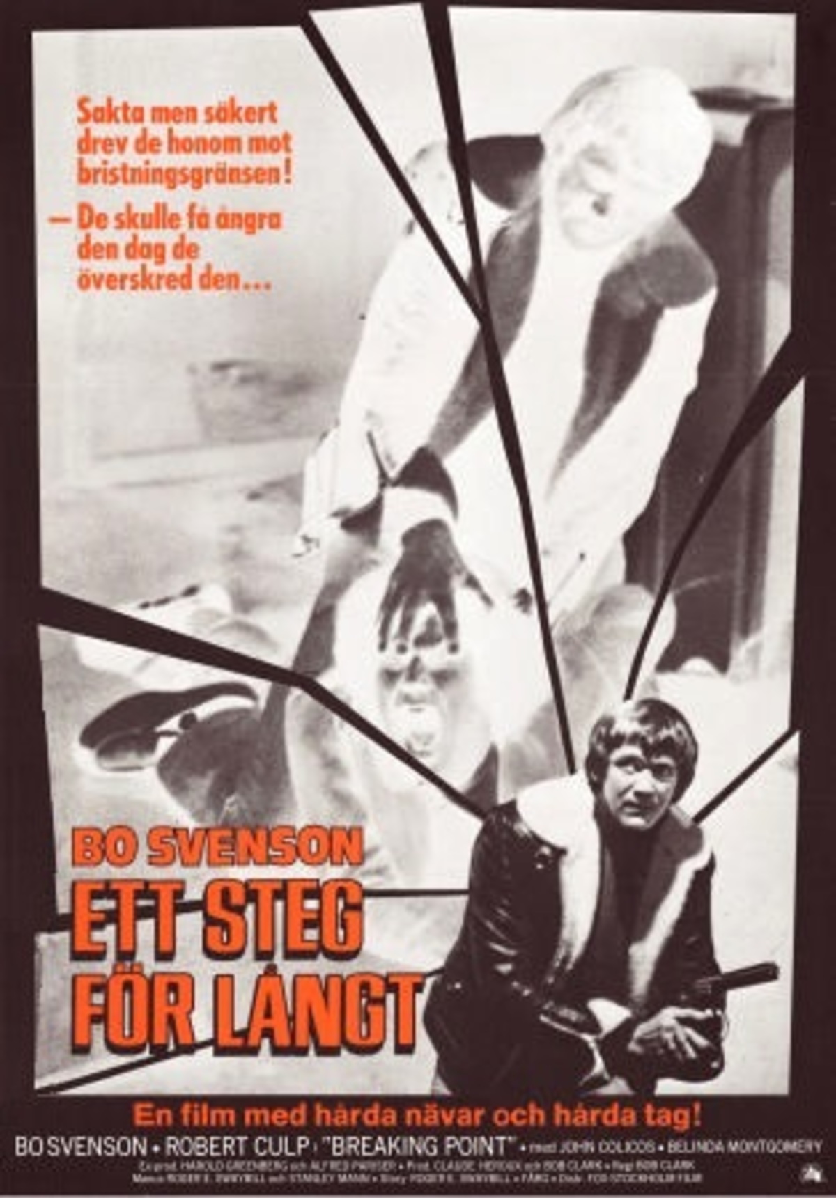 large_26ec49c63c73a6a8fb3bc2f5846d9dda-Ett_20steg_20f_C3_B6r_20l_C3_A5ngt.jpg