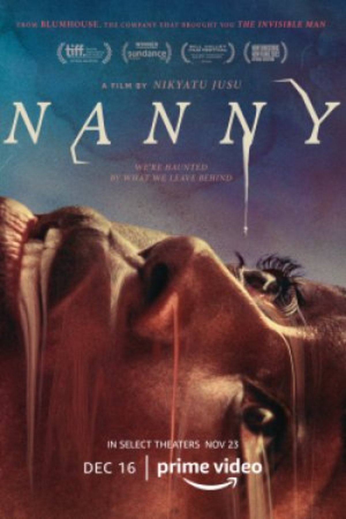 large_2834e07c2554939c89640a6a20f67406-nanny_poster.jpg