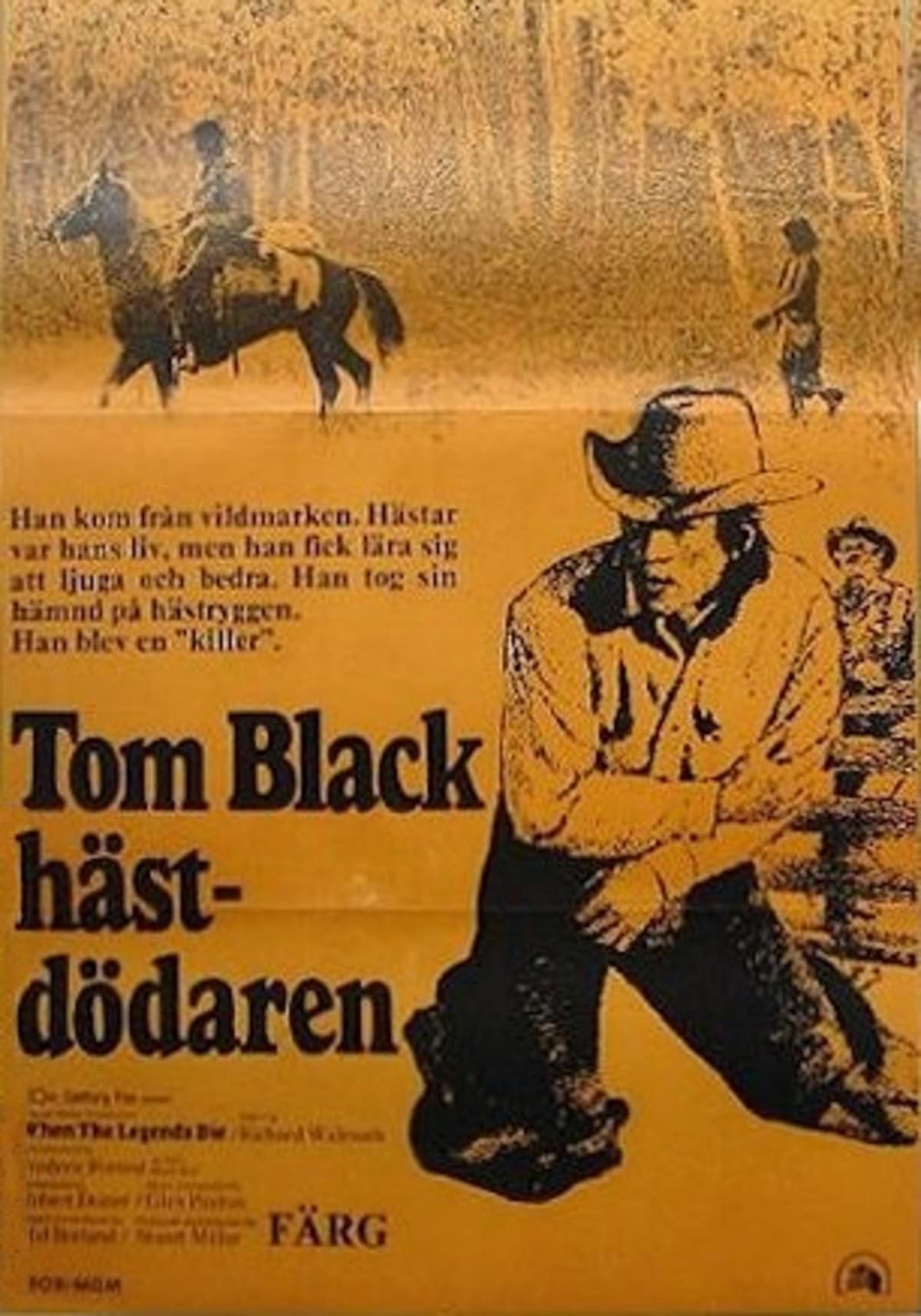 large_285e1225635aa6a1b416de18891843f1-tom_black_hastdodaren_73.jpg