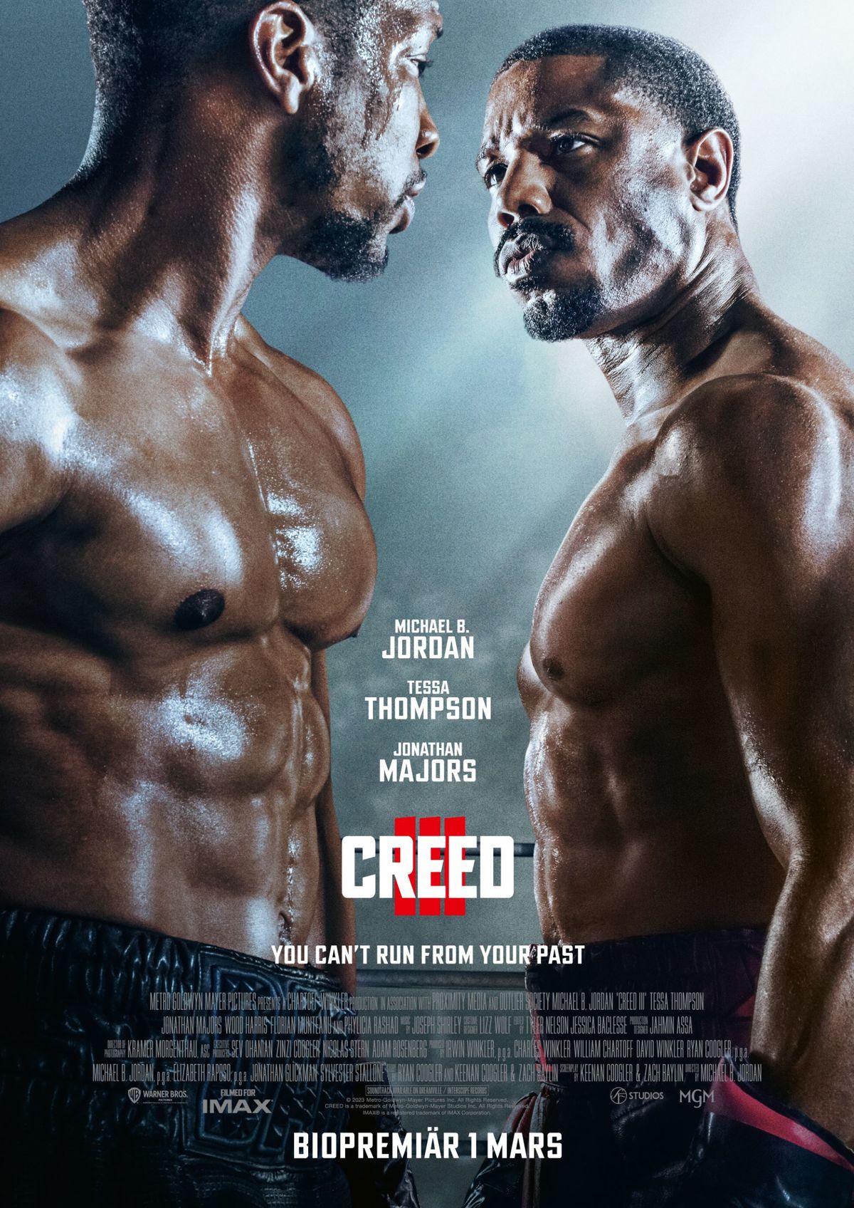 large_29511887fc1db9f57af38a7c0cc6d9e7-creed-3-poster.jpg
