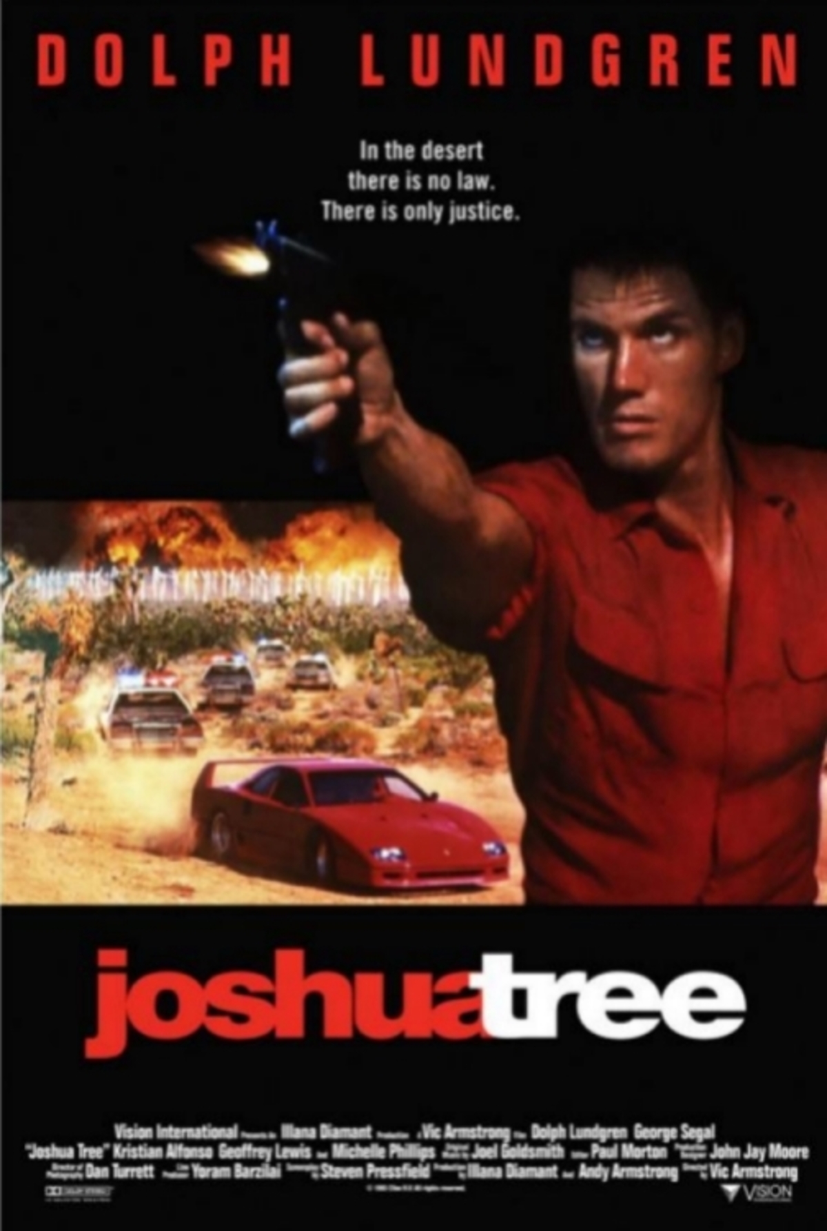 large_2a0fac11dec3047430d6b785b349c7a0-Joshua_20Tree.jpg