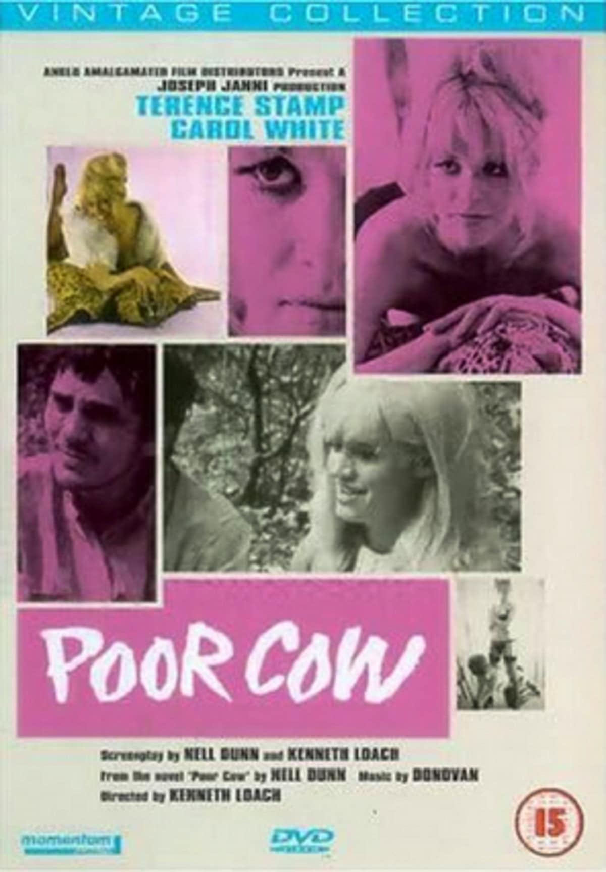 large_2cb469b7cf3e2a94ab39e81fbc07596f-Poor_20Cow_20_1967.png