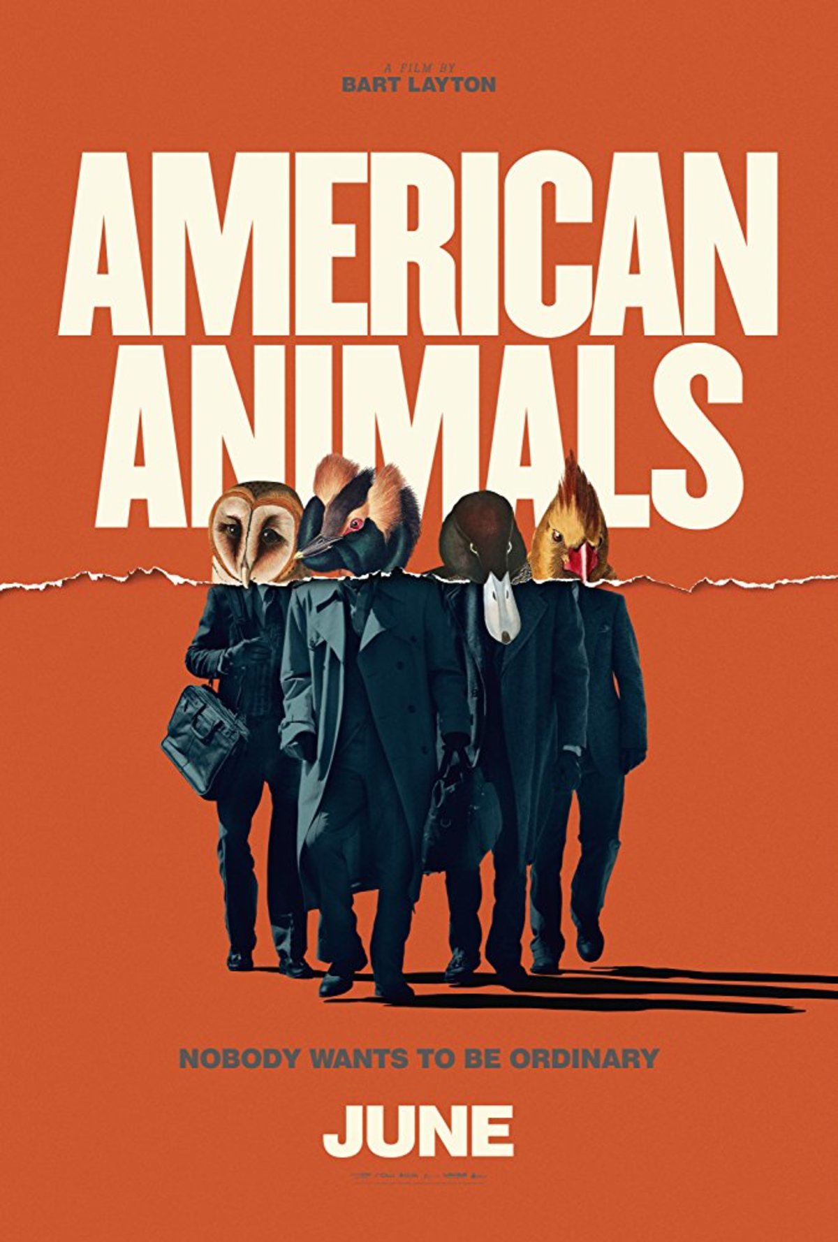 large_2d0810ffcd45e00629b6c732cb75a312-american_animals_poster.jpg