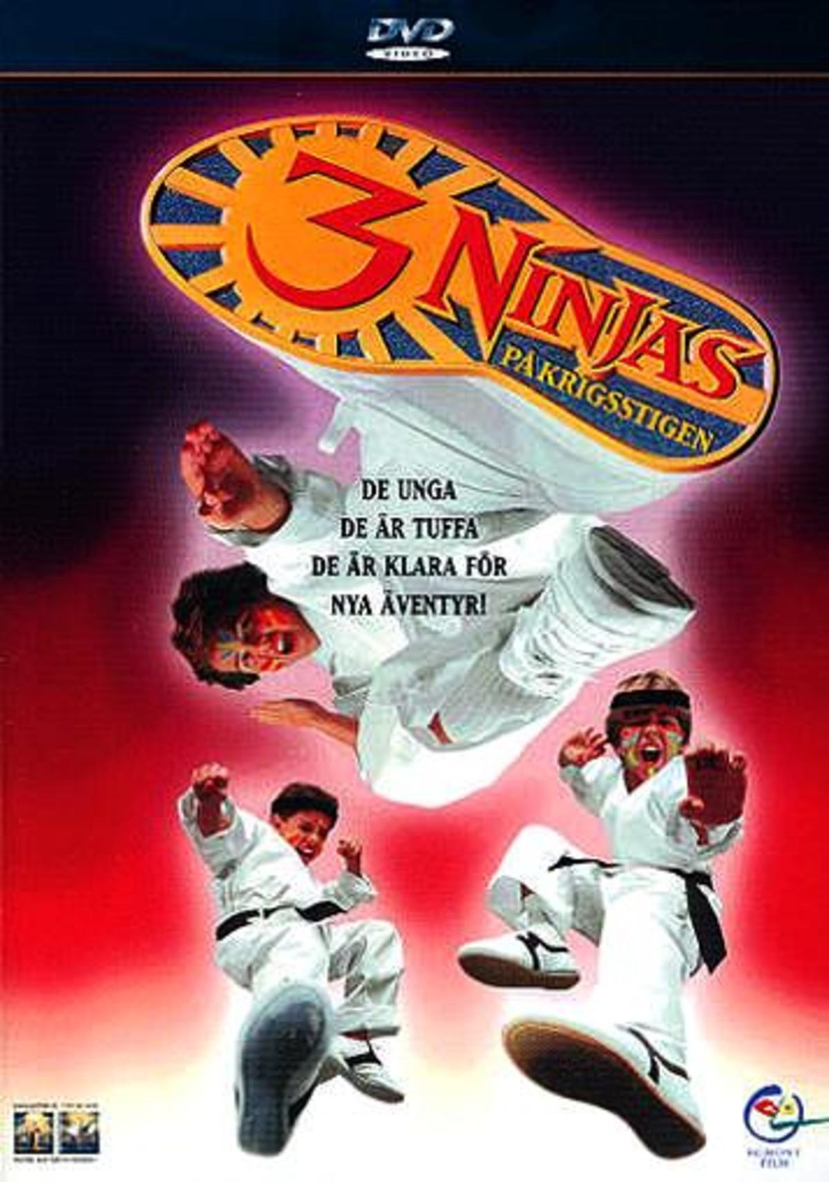 large_2d43ba2ba789d329298aac3ff7ae24bc-3_20ninjas_20p_C3_A5_20krigsstigen.jpg