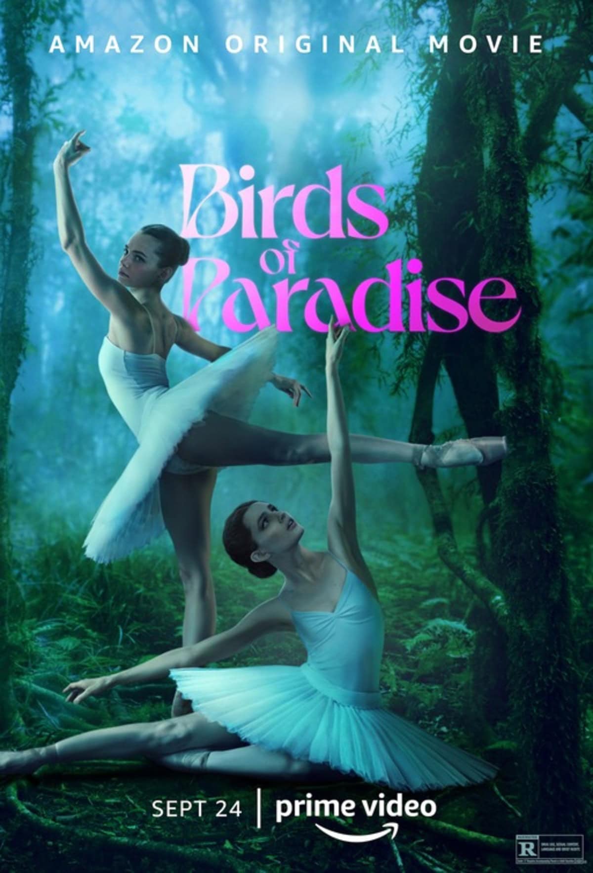 large_2d88c4d3228756c39adb0272e1fec00f-birds_of_paradise.jpg